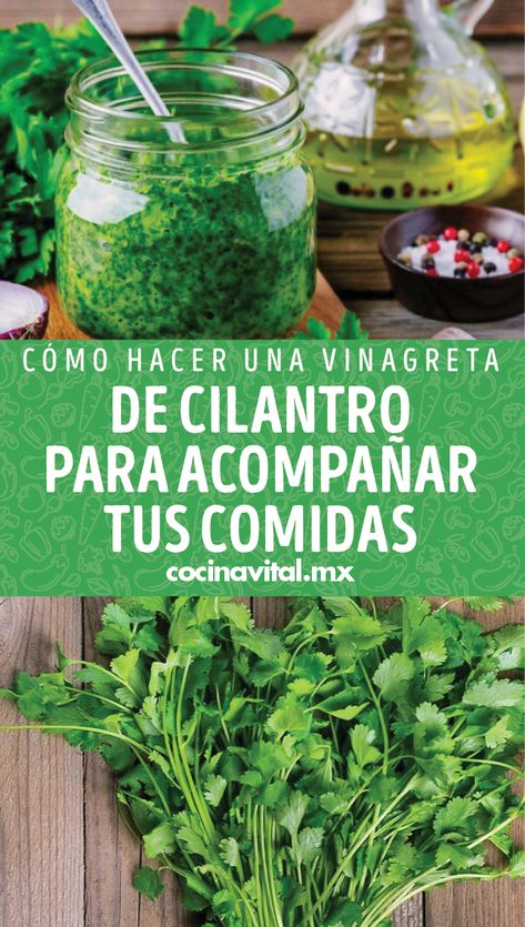 Con un manojo de cilantro, puedes preparar una deliciosa vinagreta casera. Cilantro, Sauce