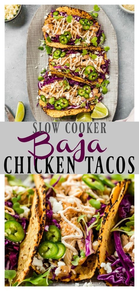 Slow Cooker Beer Braised Baja Chicken Tacos | A twist on the classic Baja fish tacos. Made with the ease of the slow cooker this chicken is moist, tender and packed with flavor!  Top it all off with crisp cabbage, spicy jalapeños and a creamy Baja sauce, these tacos are perfect for a weeknight dinners or entertaining! #slowcooker #crockpot #easy #baja #beer #braised #chicken #tacos #recipe via @nospoonn Chicken Cabbage Tacos, Spicy Chicken Tacos Crockpot, Chicken Street Tacos Recipe Slow Cooker, Street Tacos Recipe Crockpot, Chicken Street Tacos Crockpot, Slow Cooker Street Tacos, Baja Chicken Tacos, Street Tacos Chicken, Baja Chicken