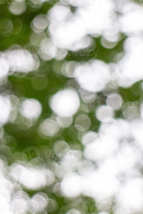 green bokeh background from nature under tree shade,abstract Bokeh Background For Editing, Green Background Blur, Green Blur Background, Background Bokeh, Green Bokeh Backgrounds, Bokeh Background, Tree Saw, Editing Background, Cityscape Photos