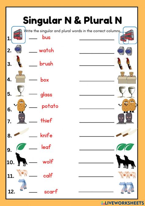 Singular And Plural Words, Plurals Worksheets, Plural Nouns Worksheet, Plural Words, Punctuation Worksheets, First Grade Reading Comprehension, Singular And Plural Nouns, Possessive Nouns, Singular Nouns