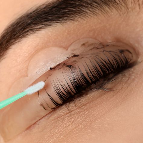 Lash Lift & Tints - Jeevi Brow Studio Ellebana Lash Lift And Tint, Eyelash Lift Aesthetic, Eye Lash Tint, Brow Technician, Eyelash Growth Cycle, Lash Tint And Lift, Summer Glowup, Eyelash Tint, Lvl Lashes