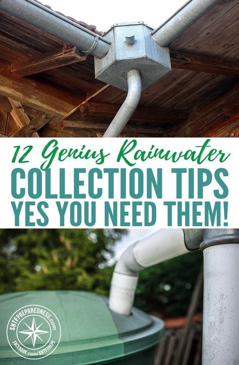 Rain Water Collection Diy, Water Collection System, Water From Air, Rainwater Collection, Rain Collection, Pub Set, Rainwater Harvesting, Water Collection, Rain Barrel