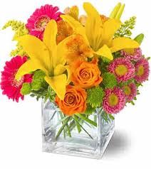 Happy Pot R275.00 Brunch Flowers, Capital Campaign, Asiatic Lilies, Gerbera Daisy, Same Day Flower Delivery, Table Centers, Orange Roses, Local Florist, Flowers Online