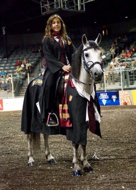 Horses In Costumes, Costume Ideas For Horse And Rider, Horse Costumes Ideas, Halloween Horse Costume Ideas, Horse And Owner Halloween Costumes, Black Horse Costume Ideas, Costume For Horses And Rider, Equestrian Halloween Costumes, Halloween Costumes Horse And Rider