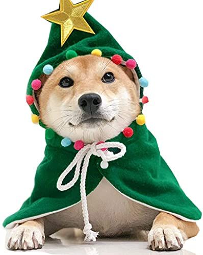 Cat Christmas Costumes, Red And Green Christmas Tree, Christmas Pet Clothes, Dog Christmas Photos, Dog Christmas Pictures, Medium Sized Dog, Pet Costumes Cat, Christmas Dog Outfits, Cape Cloak