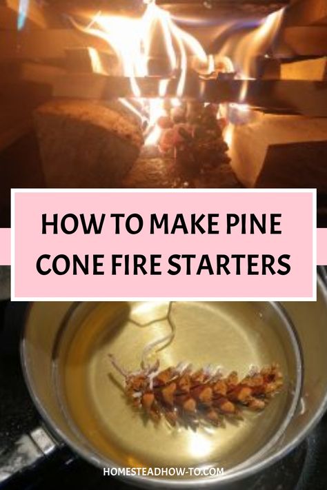 Pine cone fire starters are easy to make using beeswax and a braided candle wick. They can help to get a fire started within minutes and also make a great gift! Pinecone Firestarters, Pine Cone Fire Starters, Homestead Planning, Firestarters Diy, Best Fire Starter, Homemade Fire Starters, Pinecone Fire Starters, Camping Fire Starters, Fire Starters Diy