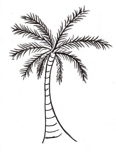 palm-tree004-2 Palm Tree Outline, Tree Trunk Drawing, Palm Tree Sketch, Tree Drawing Simple, Palm Tree Drawing, Christmas Palm Tree, Tree Outline, Tree Doodle, Tree Coloring Page