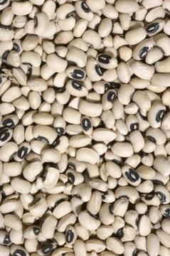 Frozen Black Eyed Peas Recipe, Frozen Black Eyed Peas, Ham Hock Slow Cooker, Crowder Peas, Blackeyed Peas, Black Eyed Peas Recipe, Black Eyed Beans, Fresh Beets, Pea Recipes