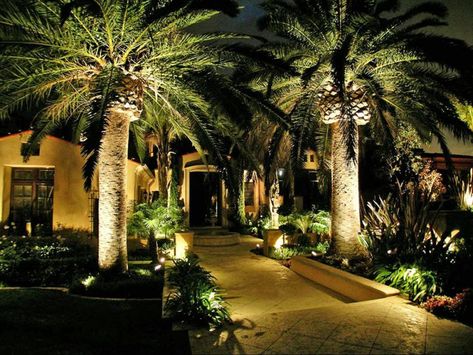 19 Exceptional Ideas To Decorate Your Landscape With Palm Trees Front Yard Lighting, 2 Guys, Palm Trees Landscaping, Cheap Landscaping Ideas, Florida Landscaping, Landscape Lighting Design, Outdoor Landscape Lighting, Yard Lights, Landscape Plans