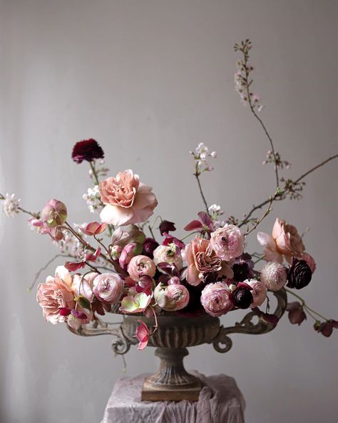 Frida Kim on Instagram: “Offering some pink spring colours in rainy grey London .. . Beautiful Hellebores @nettlewoodflowers 🙏 . . . . . . . . . . #nofloralfoam…” Flower Arrangement Designs, Blush Wedding Flowers, Wedding Ceremony Backdrop, Modern Flower Arrangements, Cat Air, Vase Arrangements, Beautiful Flower Arrangements, Ceremony Backdrop, Modern Flower