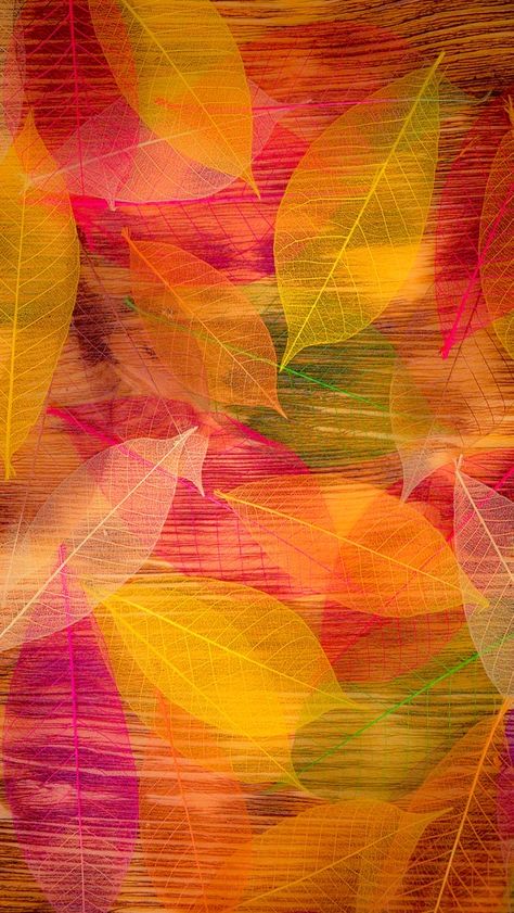 Wallpaper Iphone Autumn, Fall Facebook Cover, Salmon Art, Monochromatic Background, Green Nature Wallpaper, Computer Background, Amoled Wallpapers, Hd Nature Wallpapers, Iphone Wallpaper Hipster