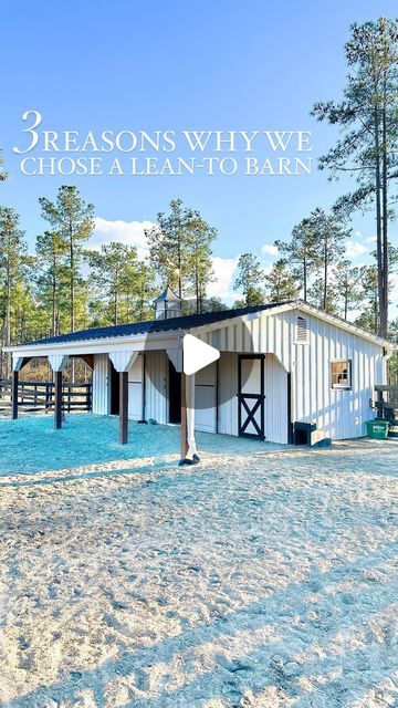 Sumer Schmitt | Schmitt’s Creek Farm on Instagram: "✨ 3 Reasons Why We Chose a Lean-To Barn  1. Less Expensive - when compared to a center-aisle barn the cost to build a lean-to barn is considerably less.   2. Shade + Protection from Elements - our horses have 24/7 access to the barn, which means they can seek shelter anytime they need it. We often find them standing underneath the overhang on sunny afternoons.   3. Functionality - the outside of the barn functions much like a “center aisle” where we are still able to cross-tie the horses for grooming + tacking up.   We finished construction on our barn last summer and have absolutely loved it for our animals! If you have any questions about the building process feel free to drop them below!  #horsebarn #horsebarns #barndesign #barnconstru Simple Horse Barns, Horse Ownership, Barn Stalls, Mini Barn, Lean To, Small Barn, Building Process, Animal Fun, Two Horses