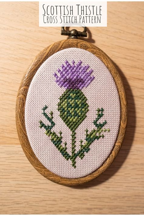 Scottish Thistle Cross Stitch Pattern Cross Stitch Scotland, Thistle Cross Stitch Pattern, Cross Stitch Patterns Easy, Scotland Thistle, Thread Craft, Celtic Quilt, Thistle Pattern, Nature Cross Stitch, Scottish Thistle