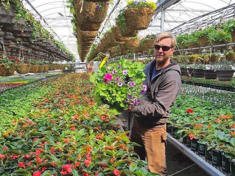 Greenhouse manager Kyle Griffin at Griffin's Greenhouses in Selywn, one of many locally owned independent garden centres in the Kawarthas that are ready to open to the public for gardening season once the Ontario government gives them the green light. Currently, they can only offer curbside pickup and delivery instead of allowing customers to browse plants. (Photo: Griffin's Greenhouses / Instagram) Plants Photo, Greenhouse Plans, Seasonal Garden, Grocery Stores, Greenhouses, Nurseries, Green Light, Garden Center, Good News