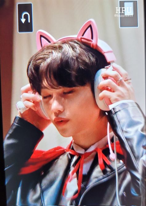 Headphones Wallpaper, Cat With Headphones, Felix Cat, Cat Headphones, Cats Memes, Felix Stray Kids, Cat Pin, Cat Ear Headphones, Pin Collection