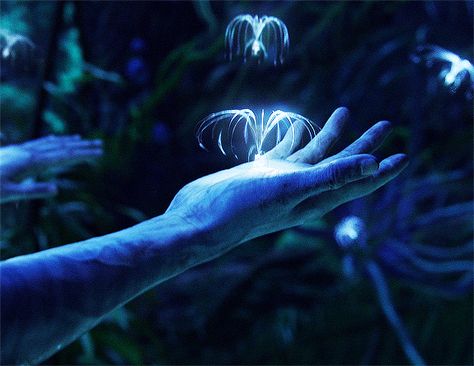 Avatar (2009) directed by James Cameron (2/3) Blue Pfp Gif, Avatar Visuals, Gif Avatar, Avatar Banner, Avatar Tree, Avatar Gif, Avatar Book, Steam Avatar, Air Movie