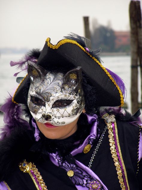 Cat Mask.  Venice Carnival 2013 by Lesley McGibbon Carnivale Mask, Mask Venice, Mask Face Paint, Venice Carnivale, Costume Venitien, Venice Mask, Venetian Carnival Masks, Venetian Carnival, Clown Mask