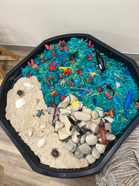 World Ocean Day Activities, Australia Montessori, Coloured Pasta, Ocean Activities Preschool, Sand Dough, Thema Water, World Ocean Day, Ocean Habitat, Eyfs Activities