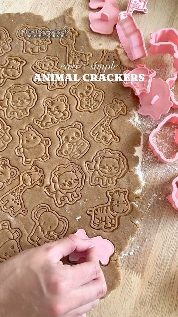 Toddler Recipes Healthy, Healthy Toddler Recipes, Animal Cracker, Toddler Recipes, Recipes Family, Animal Crackers, I Promise, My Website, Crackers