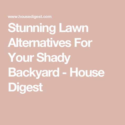 Stunning Lawn Alternatives For Your Shady Backyard - House Digest Reduce Grass In Backyard, Lawn Cover Grass Alternative, Alternative To Grass Lawns, No Mow Grass Lawn Alternative, Replace Grass Lawn Alternative, Sweet Woodruff, Backyard House, Lawn Alternatives, Wild Ginger