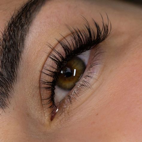 https://sites.google.com/view/schonheitsgeheimnisse-blog/top/?-textured-volume-lash-extensions-c-05mm-9-10-11 Wispy Lash Extensions Asian Eyes, Asian Eyelashes Extensions, Lashes Wispy Volume, Wispy Fake Lashes, Lash Map 30d, Volume Eyelash Extensions Mapping, Light Volume Eyelash Extensions, Small Natural Lash Extensions, Simple Hybrid Lashes