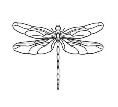 Fly Tattoo, Dragonfly Drawing, Artsy Tattoos, Traditional Tattoo Flowers, Dragonfly Painting, Traditional Tattoo Designs, Dragonfly Tattoo Design, Tattoo Flowers, Forearm Tattoo Women