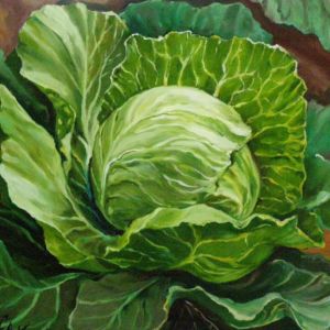 Cabbage Vegetable Painting, Botanical Sketchbook, Vegetables Photography, Object Drawing, Still Life Photos, Cabbages, Fruit Painting, Zodiac Art, Botanical Drawings