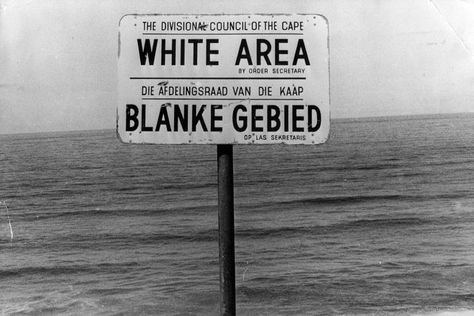 What Signs Were Used to Enforce Segregation During Apartheid? English Projects, Students Day, Ap World History, Sign Image, Africa Do Sul, Nelson Mandela, African History, Social Interaction, Bbc News