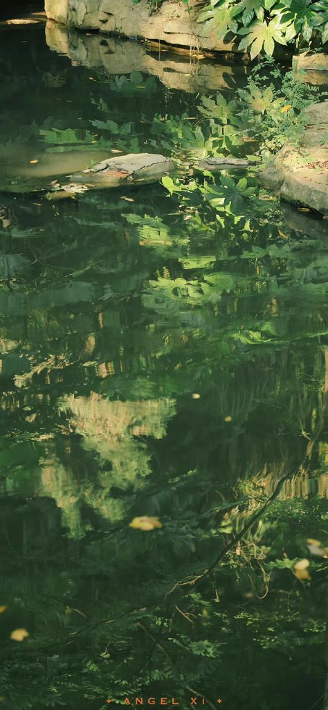 Green Aesthetic Art Wallpaper, Green Water Aesthetic Wallpaper, Green Iphone 15 Wallpaper, Simple Green Wallpaper Iphone, Pond Aesthetic Wallpaper, Green Beach Wallpaper, Dreamy Green Aesthetic, Green And Blue Wallpaper Aesthetic, Pretty Wallpapers Green