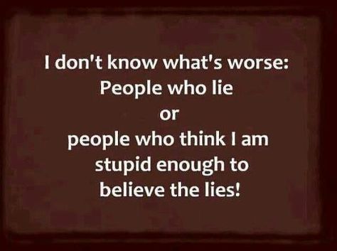 People who lie- for all those out there who have people who like to lie about things to make them look great! When really it  makes them look like the bad guy! People Who Lie Quotes, I Hate Liars, People Who Lie, Liar Quotes, Lies Quotes, Raw Emotion, People Quotes, Life Inspiration, A Quote