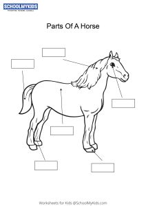 Missing Numbers Counting Forward 1 to 25 Worksheets for Kindergarten,First,Second Grade - Math Worksheets | SchoolMyKids.com Parts Of Horse Worksheet, Parts Of A Horse Printable, Pony Club Worksheets, Horse Worksheets, Parts Of A Horse, Printable Worksheets For Kindergarten, Classroom Bulletin Boards Elementary, Counting Backwards, Saddle Club