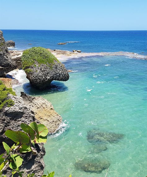 Beach Puerto Rico, Aguadilla Puerto Rico, Puerto Rico Beaches, Puerto Rico Pictures, Puerto Rico Trip, Puerto Rico Vacation, Puerto Rico History, Puerto Rican Culture, Travel Locations