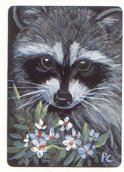 Skunk Painting Acrylics, Raccoon Acrylic Painting, Racoon Painting, Raccoon Painting, Animal Paintings Acrylic, Raccoon Print, Wildlife Wall Art, Raccoon Art, Cute Raccoon