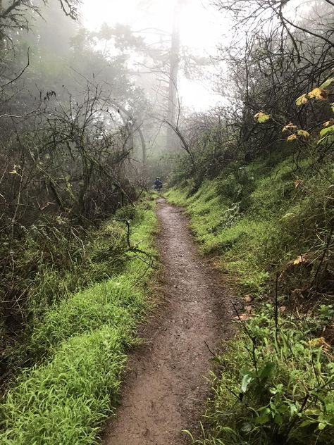 Dipsea Trail, Rainy Hike, Demure Fall, Missouri Hiking, Hiking In The Rain, Missouri Camping, Arizona Camping, Isle Royale National Park, High Places