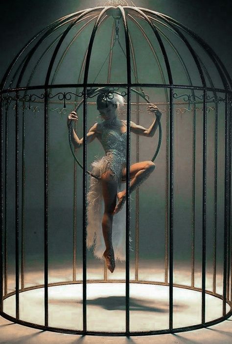 Bird In Cage, Circus Aesthetic, Dark Circus, Night Circus, Aerial Dance, Aerial Arts, Aerial Hoop, Circus Art, Aerial Silks