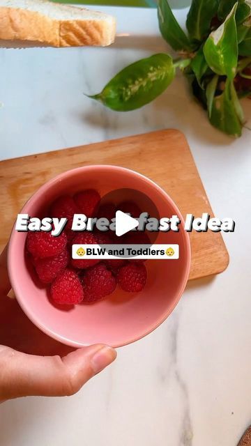 Em Sayers on Instagram: "🍇Save the recipe below and check out our page for more easy breakfast ideas 🍇 Easy Raspberry Swiss Rolls 👶Suitable for baby led weaning from 6 months ✅Quick and easy -2 tsp cream cheese -4/5 raspberries mashed -1 slice of bread with crust cut off -1 egg, beaten -1/2 tsp vanilla extract in egg *optional* 1. Roll out your bread with rolling pin. 2. Add cream cheese to nearly all of the bread and then spread raspberries about half way. 3. Roll up and dip in egg all around. 4.Fry in coconut oil for a few minutes until golden. Make sure to turn around to cook all the sides with the egg. ⭐️From 6 months serve whole. ⭐️From 9 months plus you can cut in smaller bite size pieces / slices For more baby weaning and toddler food ideas be sure to follow @dinne Toddler Food Ideas, Breakfast Ideas Easy, Swiss Rolls, Baby Breakfast, Easy Breakfast Ideas, Baby Weaning, Toddler Food, Swiss Roll, Led Weaning