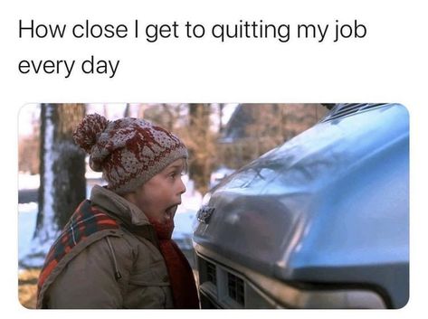 Quitting My Job, Job Memes, Job Humor, Work Quotes Funny, Teacher Memes, Work Memes, Nurse Humor, Life Humor, Work Humor