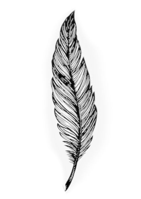 Feather Neck Tattoo, Feather Pen Tattoo, Leaf Tattoo Design, Female Drawings, Traditional Tattoo Flash Sheets, Feather With Birds Tattoo, Clock Drawings, Atlas Tattoo, Leaf Tattoo