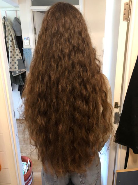 Hip Length Hair, Flowy Hair, Brown Hair Inspiration, Long Hairstyle, Wavy Curly Hair, Super Long Hair, Long Wavy Hair, Beautiful Long Hair, Length Hair