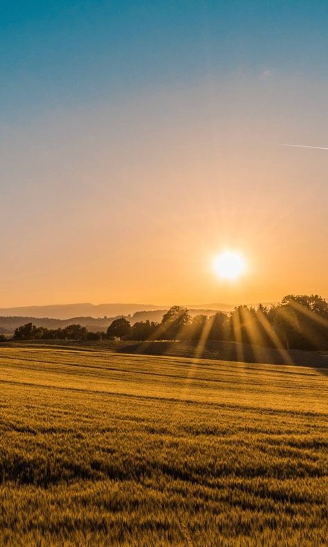 Sunset Farm Aesthetic, Sunrise Farm, Victorian Aesthetic, Sunset Background, Beautiful Landscape Wallpaper, Sunrise Photography, Landscape Wallpaper, Nature Aesthetic, Farm Life