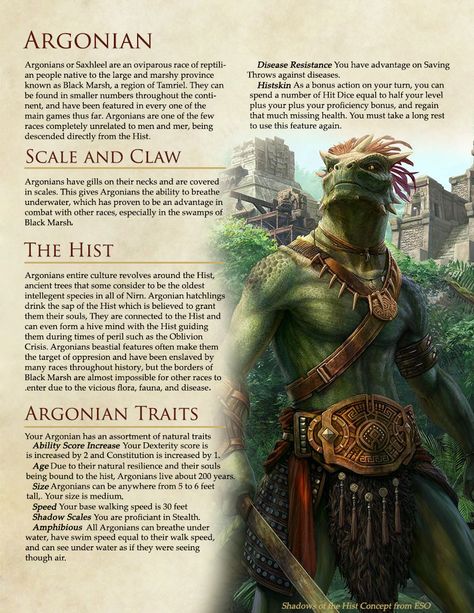 The Elder Scrolls Races in DnD Version 2  - Album on Imgur Elder Scrolls Argonian, Skyrim Dnd, Skyrim Races, Elder Scrolls Races, Homebrew Races, Dm Tips, 5e Races, Elder Scrolls Lore, Dungeons And Dragons Races