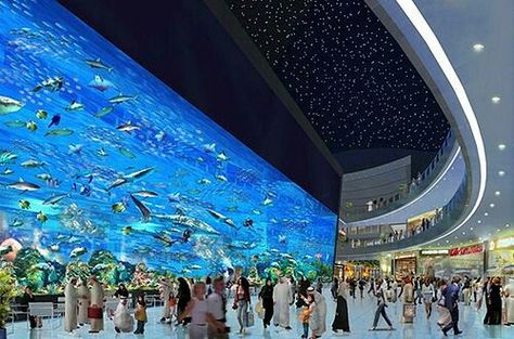 Dubai Mall aquarium. United Arab Emirates. Dubai Aquarium, Miniature Golf Course, Dubai Shopping, Burj Al Arab, Mall Of America, Visit Dubai, Centre Commercial, Dubai City, Dubai Travel