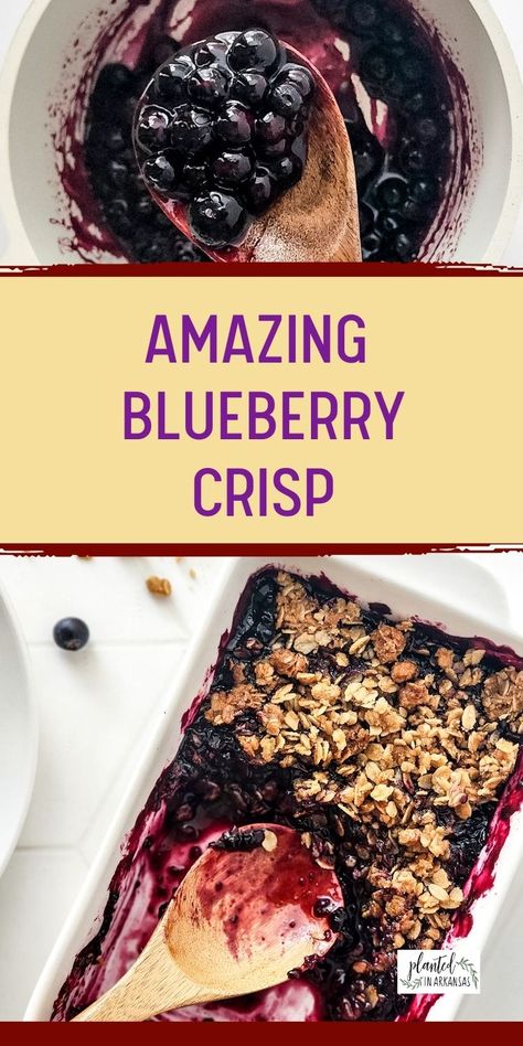 Blueberry crisp with granola is a perfect dessert for those who love the combination of sweet and crunchy textures. This delicious baked blueberry granola crisp recipe is made with fresh blueberries and topped with a crispy, golden-brown granola topping that is sure to satisfy any sweet tooth. Whether you're looking for a dessert to impress guests or simply want to indulge in something sweet and delicious, blueberry crisp with granola is the perfect choice. Gluten Free Blueberry Crisp, Blueberry Crisp Recipe, Blueberry Crisp, Savory Meals, Blueberry Desserts, Blueberry Crumble, Easy Blueberry, Blueberry Recipes, Crisp Recipe