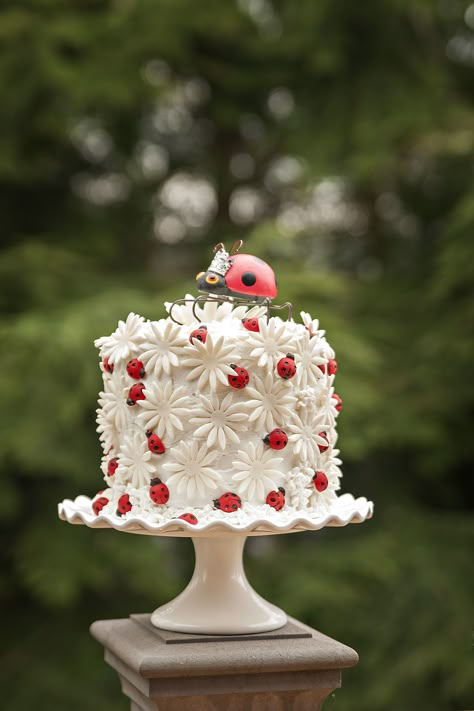 Ladybird Birthday Theme, Birthday Ladybug, Lady Buggy Cake, Ladybug Cake Topper, Ladybug Themed Cake, Birthday Cake Ladybug, Ladybug 1st Birthday Cake, Ladybug And Daisy Birthday, Pink Ladybug Cake