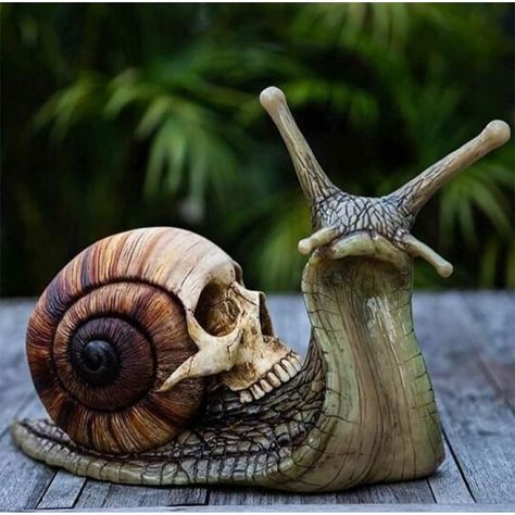 PRICES MAY VARY. 🐌 【Interesting Outdoor Sculpture】- a snail statue with a skull shell . An eye-catching outdoor decoration, it can be placed on your home's patio, garden, front lawn, etc. and await the amazed eyes of others. 🐌 【Realistic Design】- This group of realistic detail resin snail sculpture is divided into two models of brown and purple-blue, they both have a lovely appearance and standard size, brown snails are more rustic and realistic, full of natural atmosphere; purple snails are m Skull Sculpture, Kawaii Room Decor, Creation Art, Gothic Gifts, Crafts Home, Kawaii Room, Arte Animal, Arte Horror, Art And Craft