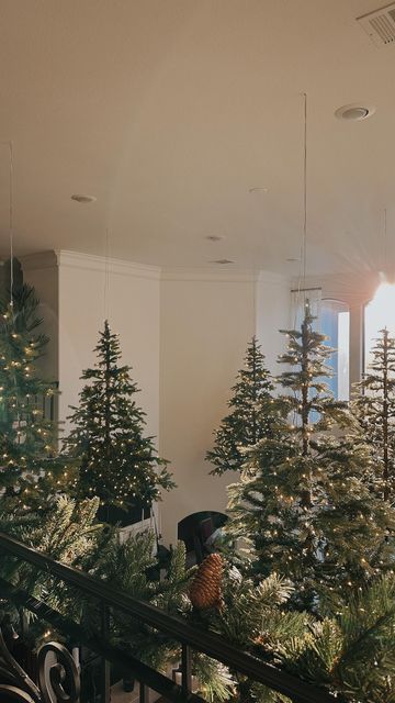 Lindsay Stewart • Decor | Design on Instagram: "I never want to take them down.🎄🥹Save this for next year’s inspo! Would you suspend Christmas trees from your ceiling?👇🏻 If you’re into outside-the-box design and creative home interiors, follow @lindsaystewartdotcom - I’m your girl.☝🏻 #lindsaystewart #beunboxable #makinghomemagical #cljsquad #creativechristmas Live a little.✨🫶🏻" Hanging Christmas Trees From Ceiling, Hanging Christmas Trees, Christmas Tree From Ceiling, Ceiling Christmas Decor, Tuscan Patio, Black Christmas Decorations, Hanging Christmas Tree, December 23, Black Christmas