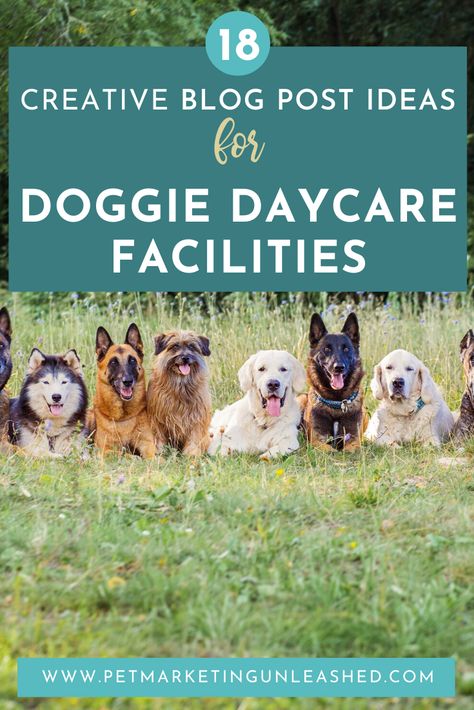 18 Creative Blog Post Ideas for Doggie Day Cares & Pet Boarding Facilities | Pet Marketing Unleashed Dog Day Care Ideas, Doggie Playground, Dog Daycare Ideas, Dog Daycare Design, Pet Marketing, Dog Boarding Ideas, Dog Daycare Business, Pet Aesthetic, Indoor Dog Park