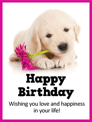 Send Free Sweet Puppy Happy Birthday Card to Loved Ones on Birthday & Greeting Cards by Davia. It's 100% free, and you also can use your own customized birthday calendar and birthday reminders. Dog Birthday Wishes, Happy Birthday Puppy, Happy Birthday Animals, Happy Birthday Dog, Birthday Greetings Friend, Happy Birthday Greetings Friends, Happy Birthday Wishes Quotes, Happy Birthday Wishes Cards, Birthday Wishes And Images