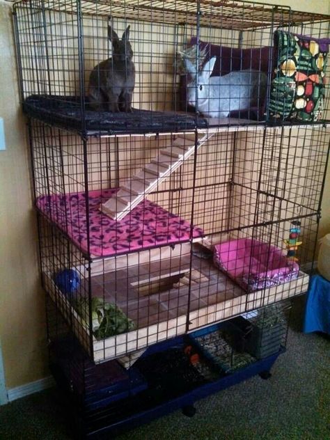 Metal Rabbit Cage, Two Story Bunny Cage, Ferret Playpen, Ferret Diy, Diy Bunny Cage, Diy Rabbit Cage, Indoor Rabbit Cage, Ferret Toys, Ferrets Care