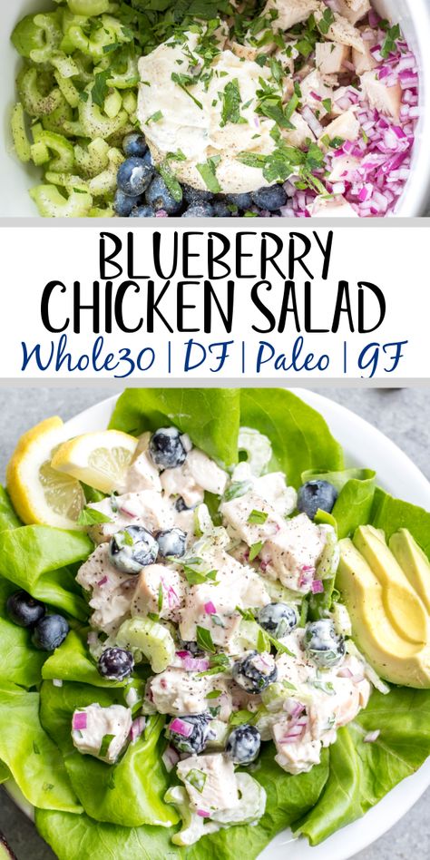 This easy blueberry chicken salad is an easy, healthy salad recipe that's perfect for meal prep lunches or as a way to use leftover chicken. It's Whole30, Paleo, dairy-free and only uses a few simple ingredients. It's great as leftovers, or simple to throw together for gatherings. Made with celery, mayo, pecans and red onion, this Whole30 salad comes together in under 30 minutes! #whole30chickenrecipes #whole30chickensalad #blueberryrecipes #lowcarb #paleochicken Whole 30 Blueberry Recipes, Whole30 Salad, Paleo Chicken Salad, Whole 30 Chicken Recipes, Use Leftover Chicken, Blueberry Chicken, Meal Prep Lunches, Whole30 Chicken Salad, Paleo Dinners